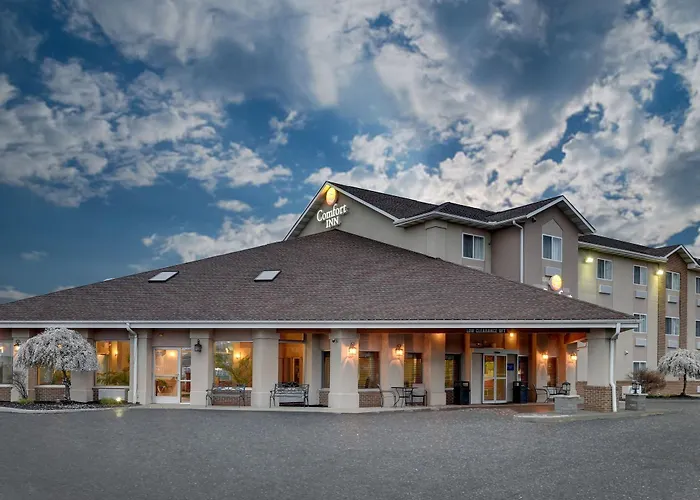 Comfort Inn Painesville - Concord
