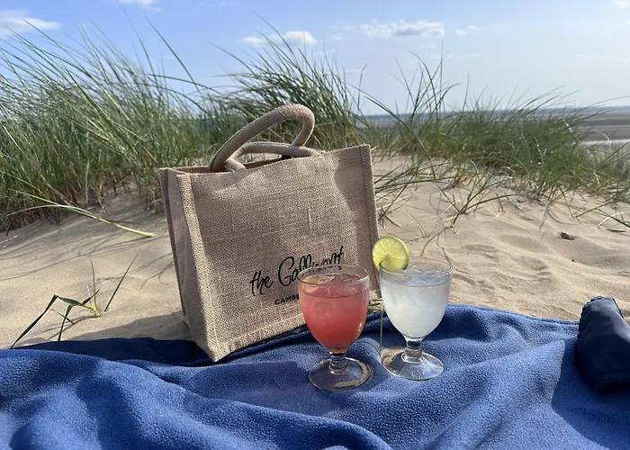 Camber Dog Friendly Hotels