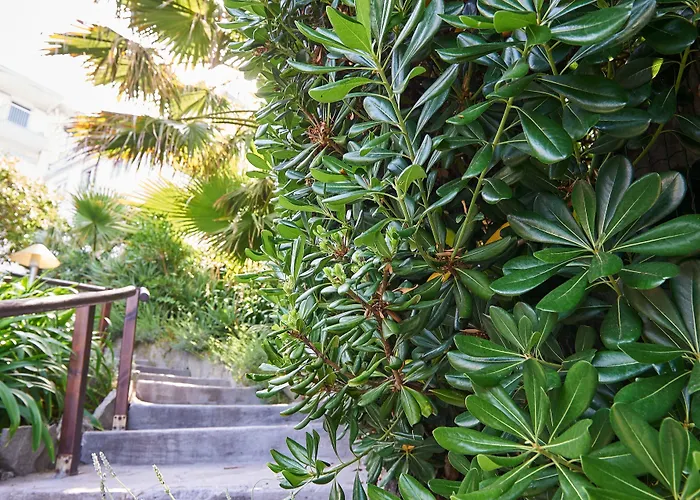 Hotel Corallo Imperia