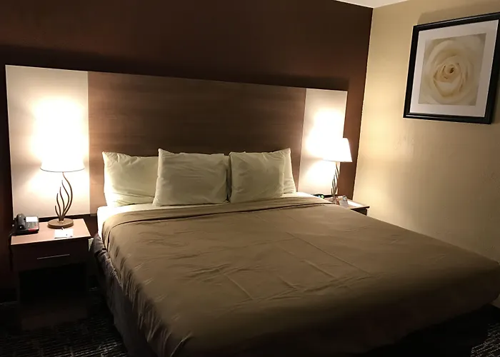 Quality Inn Near Pimlico Racetrack