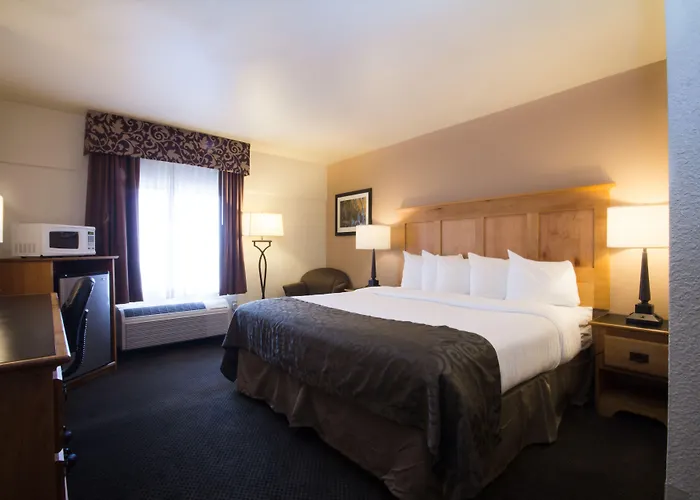 Brighton Dog Friendly Hotels
