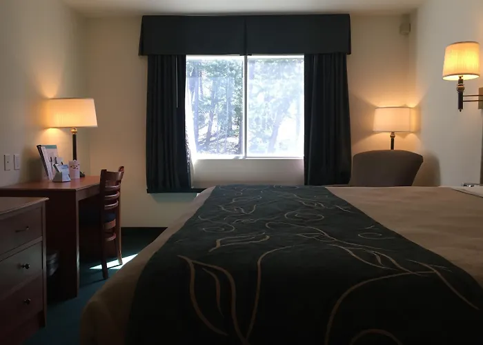 Travelodge By Wyndham Dunsmuir