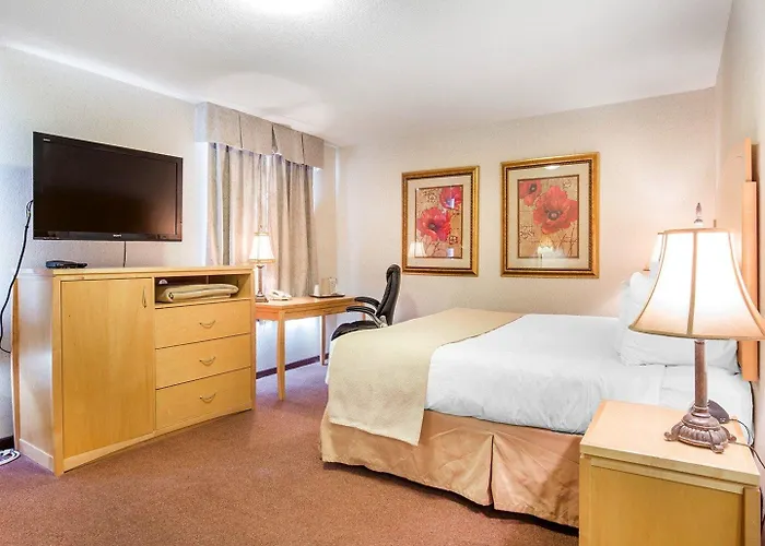 Lethbridge Dog Friendly Hotels