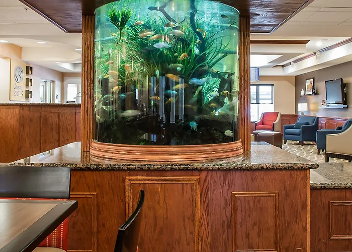 Comfort Suites Near Texas A&M - Corpus Christi