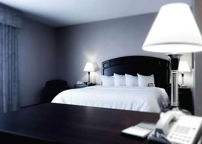 Hampton Inn & Suites By Hilton Edmonton International Airport