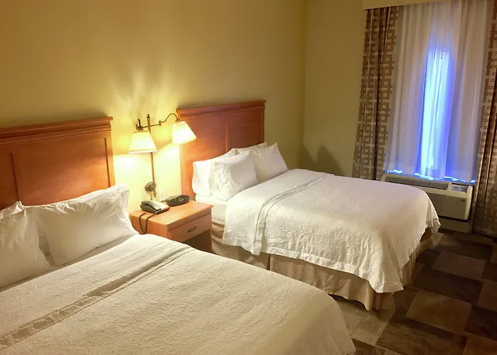 Hampton Inn Garden City