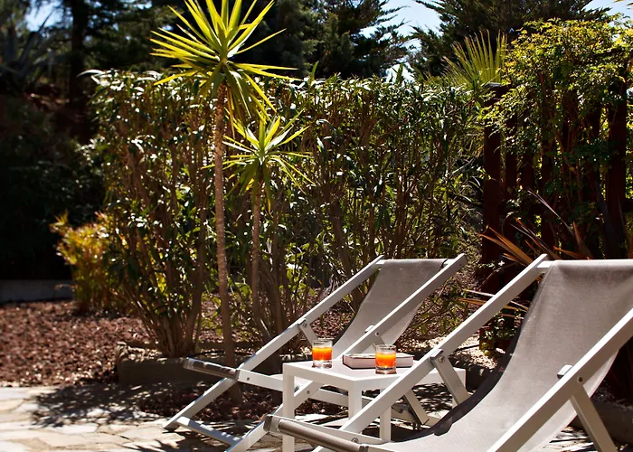 Hôtel&Spa Les Mouettes Argelès-sur-Mer