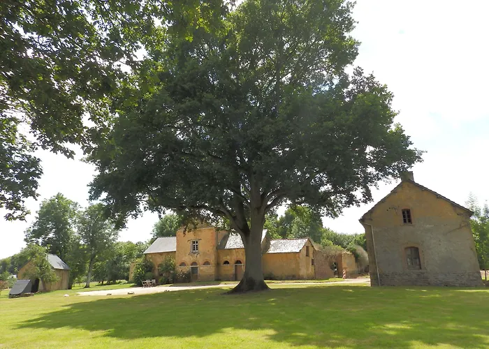 Château Du Pin - Les Collectionneurs