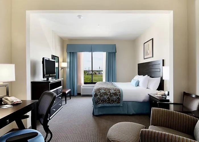 New Braunfels Dog Friendly Hotels