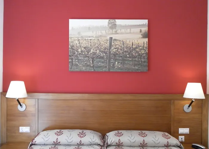 Hotel Milagros Rio Riaza