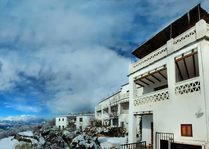 La Oveja Verde de la Alpujarra