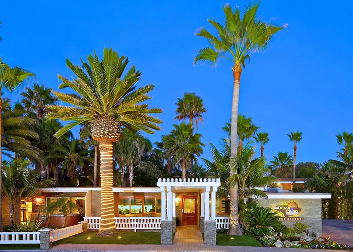 Ocean Palms Beach Resort