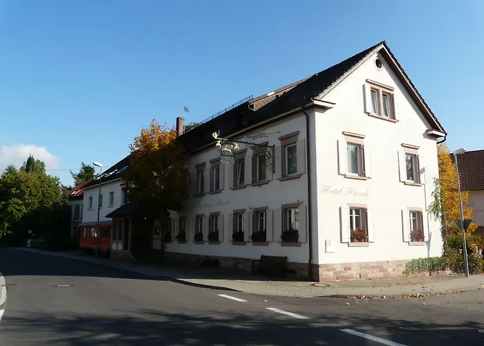 Hotel Hirsch Kehl