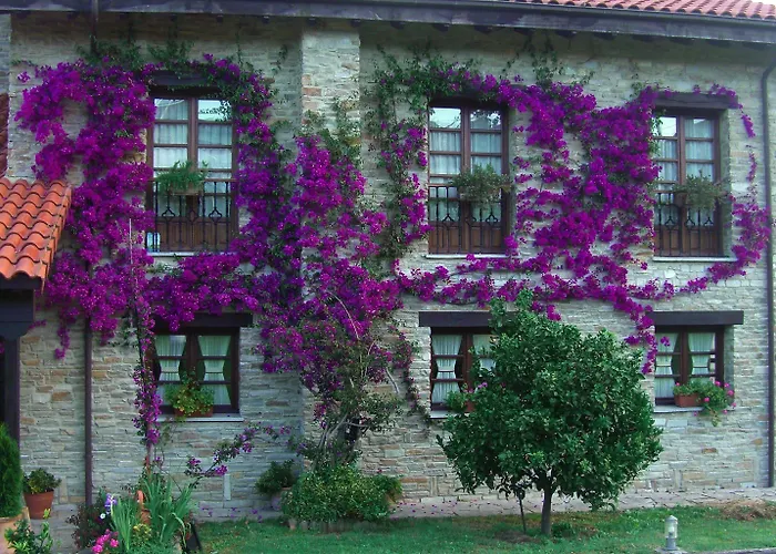 Hotel Rural Casona de Cefontes