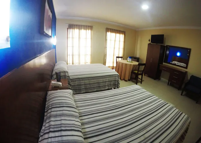 Hoteles que admiten perros en Veracruz 