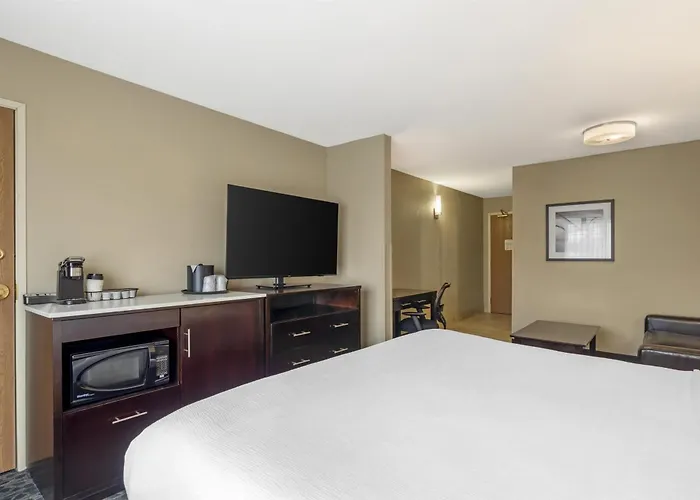 Aberdeen Dog Friendly Hotels