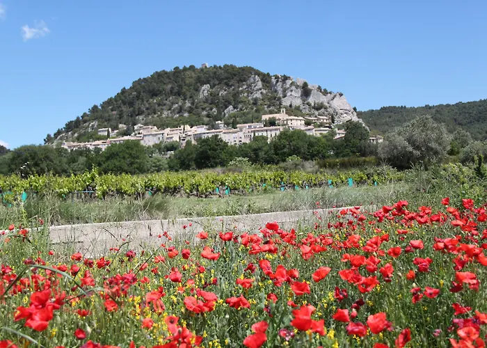 Domaine De Cabasse