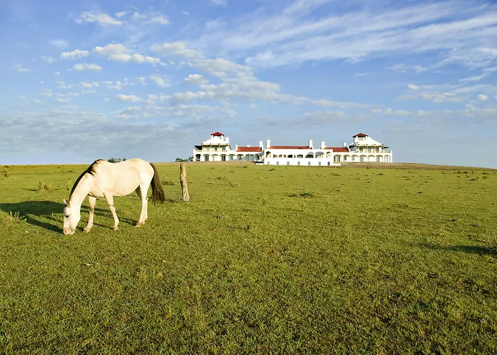 Estancia VIK José Ignacio