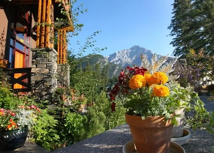Buffaloberry Bed & Breakfast