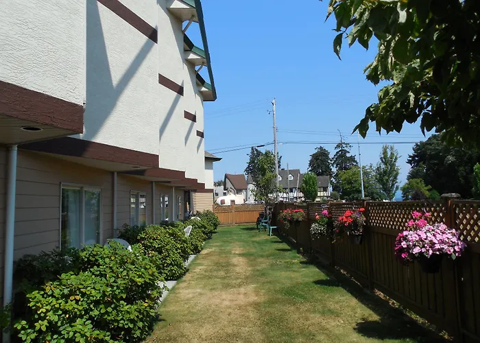 Parksville Dog Friendly Hotels