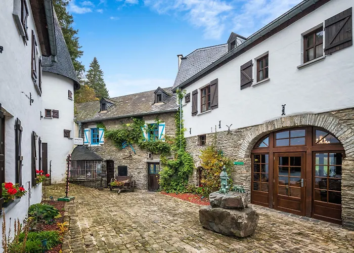 Domaine Du Moulin D'Asselborn