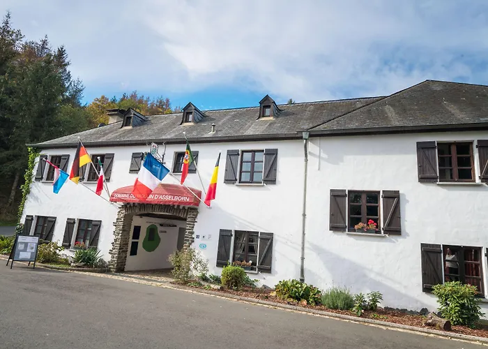 Domaine Du Moulin D'Asselborn