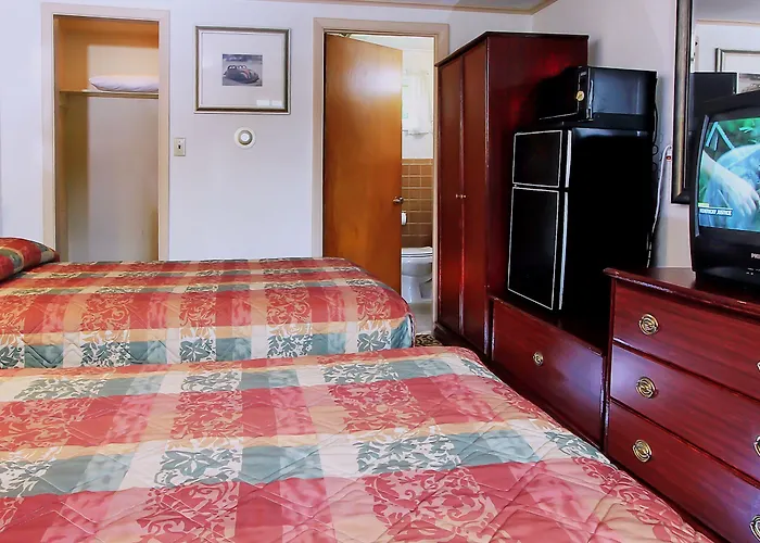 Happy Bear Motel