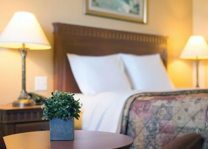 Hotel Motel La Vigie Matane