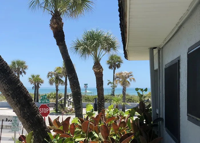 Sabal Palms