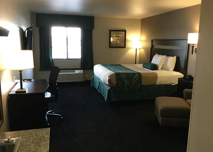 Baymont By Wyndham Glendive Hotel