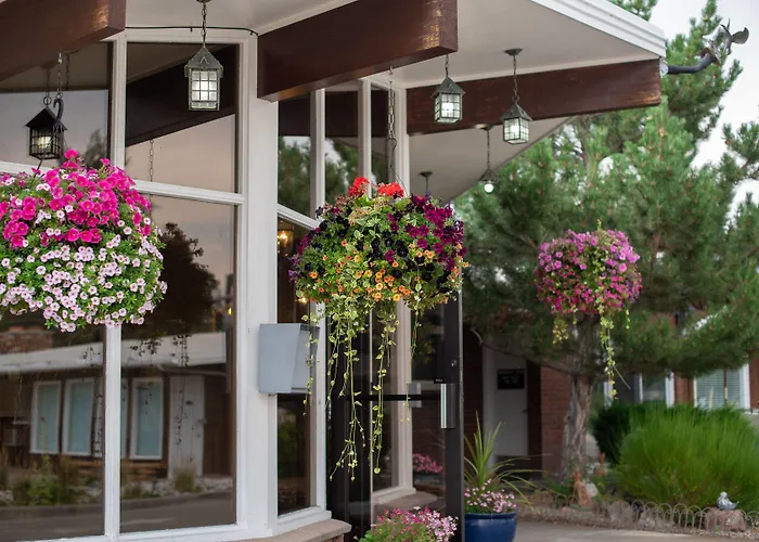 Silver Ridge Lodge Salida