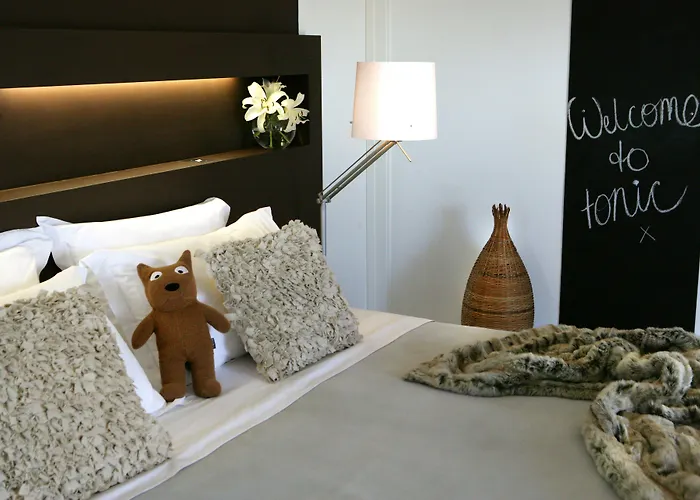 Nelson Bay Dog Friendly Hotels