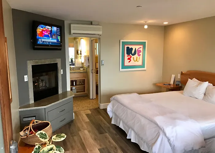 Cambria Dog Friendly Hotels