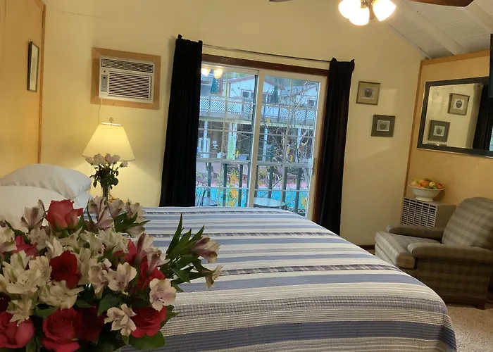 The Woods Hotel - Gay Lgbtq Cabins