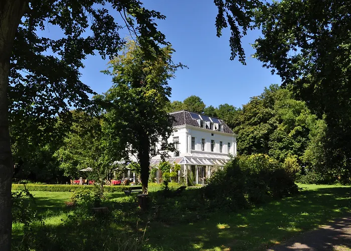 Hondvriendelijke hotels in Oostkapelle