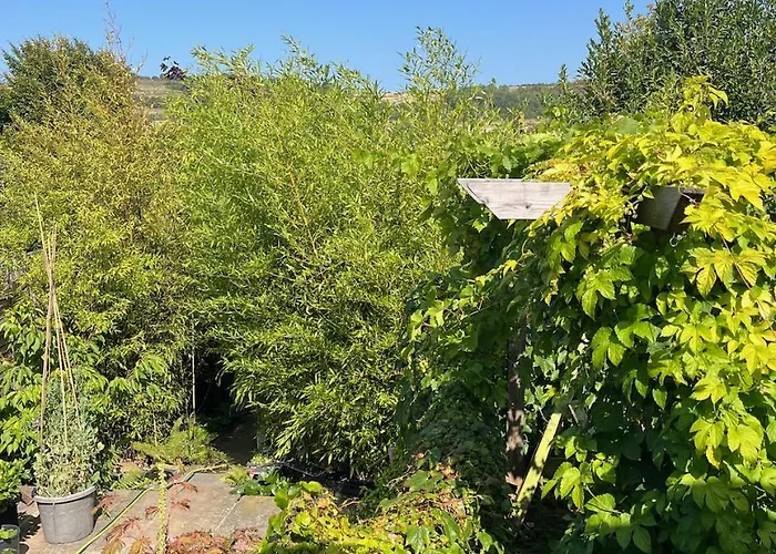 Hikers Rest