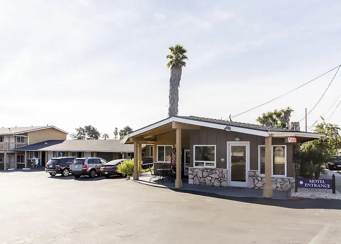 Ocean Palms Motel