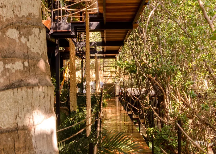 Hotel Noga