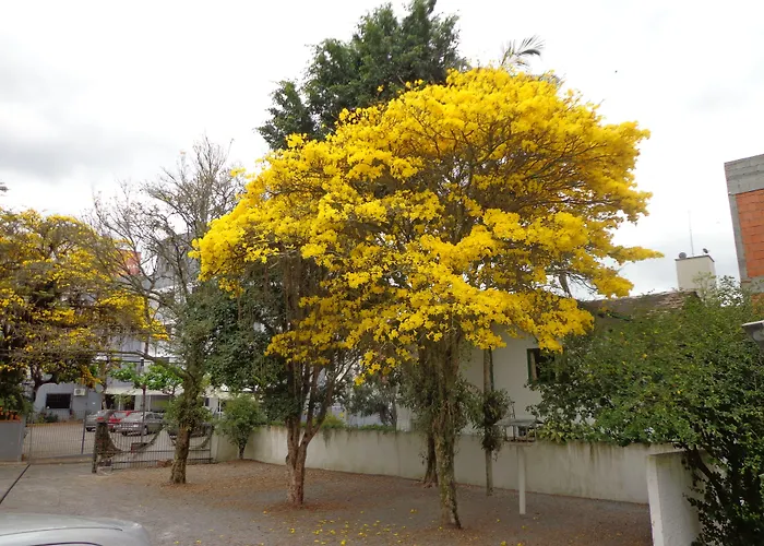 Hotel Steinhausen Blumenau