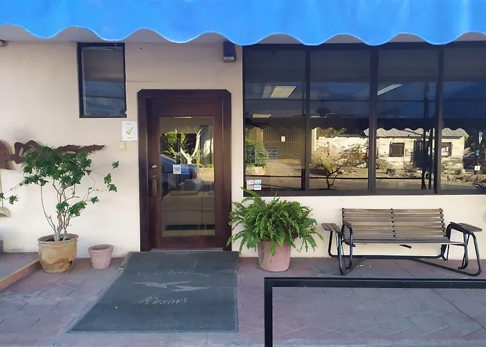 Gaviotas Condo- BCS