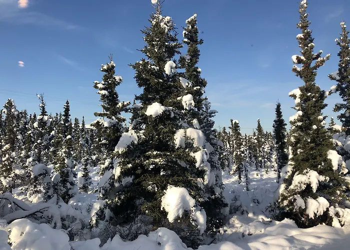 Aurora Denali Lodge Healy