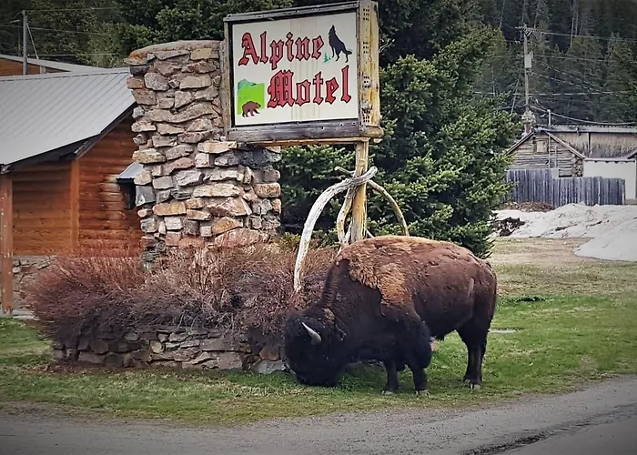 Alpine Of Cooke City