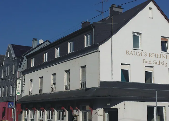 Baum'S Rheinhotel Bad Salzig