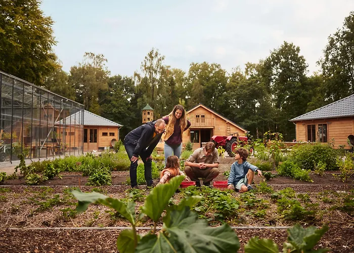 Center Parcs Meerdal Limburg-Brabant America