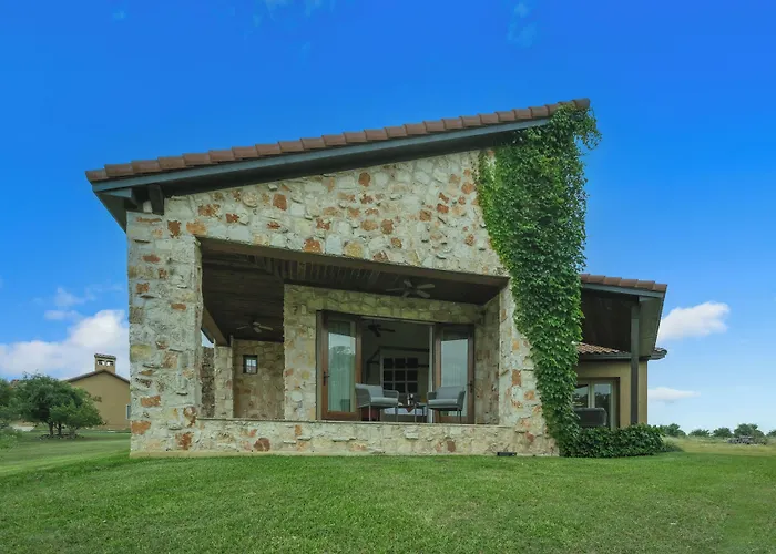 The Vineyard At Florence