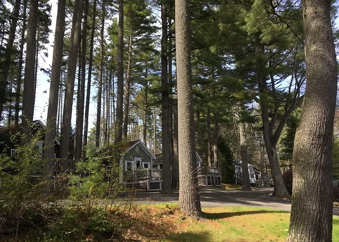 Pine Grove Cottages