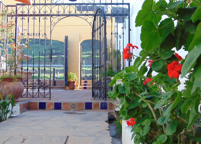 Rosarito Dog Friendly Hotels