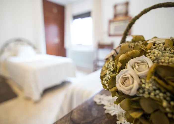 Hostal Alba Taruta