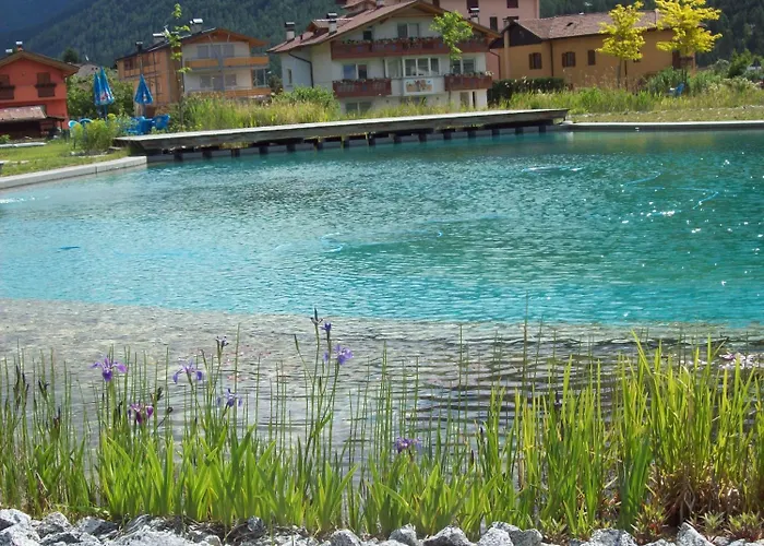 B&B Nido Delle Aquile