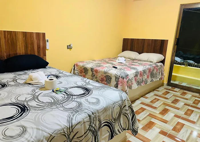 Hospedaje chachalacas